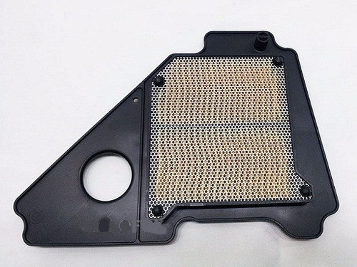 Filtro De Aire Moto Yamaha Ybr 125 Chino Generico Rpm1240 0