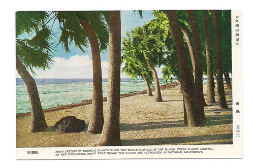 Postal Japon Isla Playa Plantas Tropicales Numero 246 B3 0