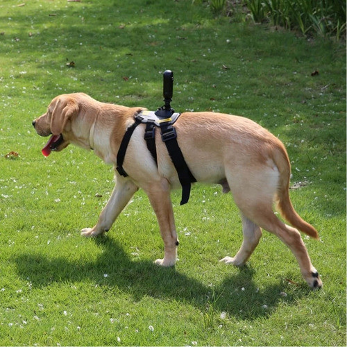 Suporte Para  Gopro Go Pro Cachorro  Dog  Proaventura 1