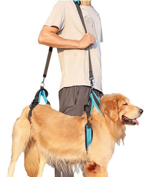 Suporte Para As Pernas De Animais Arreios De Elevação Do Cão 0 Suporte Para As Pernas De Animais Arreios De Elevação Do Cão 0