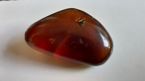 Ambar Azul 1