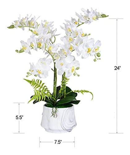 W&w Plantas Y Flores De Orquídeas Artificiales Con Jarrón, O 1