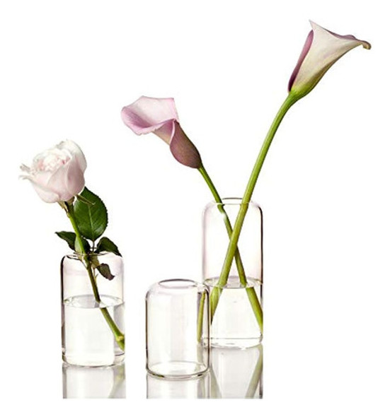 ~? Juego De Jarrones De Cristal Zens Bud, Juego De 3 Jarrone 0