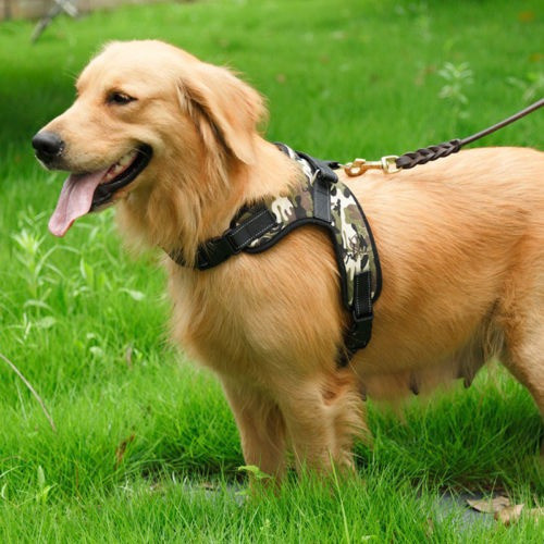 Perros Arnés Chaleco Para Mascotas Correa De Mano Ajustable 1
