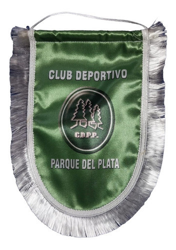 Banderín De Parque Del Plata, Hacemos Todos Los Equipos 0