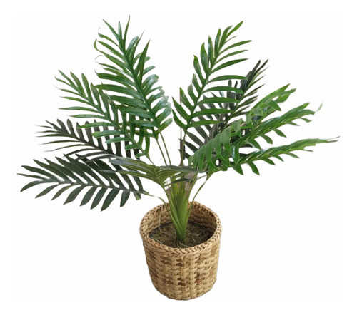 Palmera Artificial Kentia Con Maceta 80 Cms 0