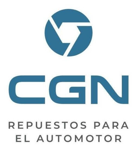 Amortiguador Record Delantero Renault Express Hasta '96 3825 1