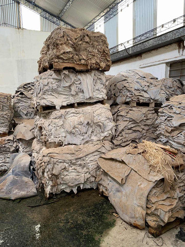 Culatas De Descarne En Blue Para Terminar. Curtiembre. 1