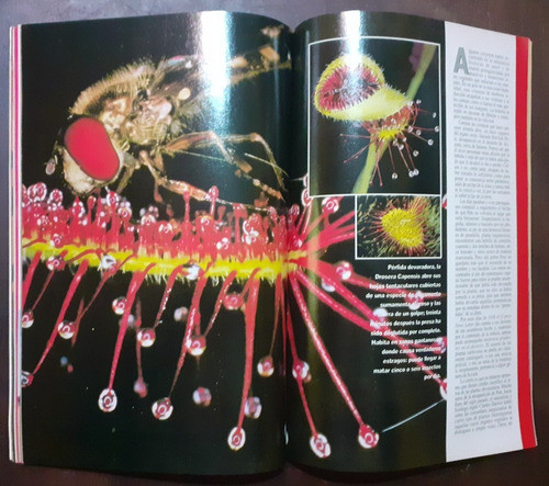 Revista  *enciclopedia Popular * Año 1992 Numero 5 1