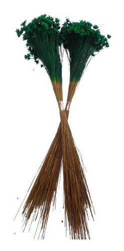 600 Sempre Vivas Decoração Casamento Lembrança Verde Escuro 0