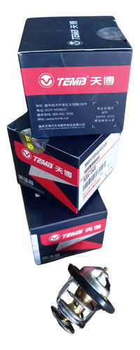 Termostato De Agua  Faw N5/v2/v5/d60/a50/v80 Original C/u 0