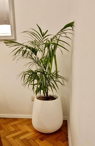 Maceta Rotomoldeo Liso Modelo Gota Malbec 50 Cm 0