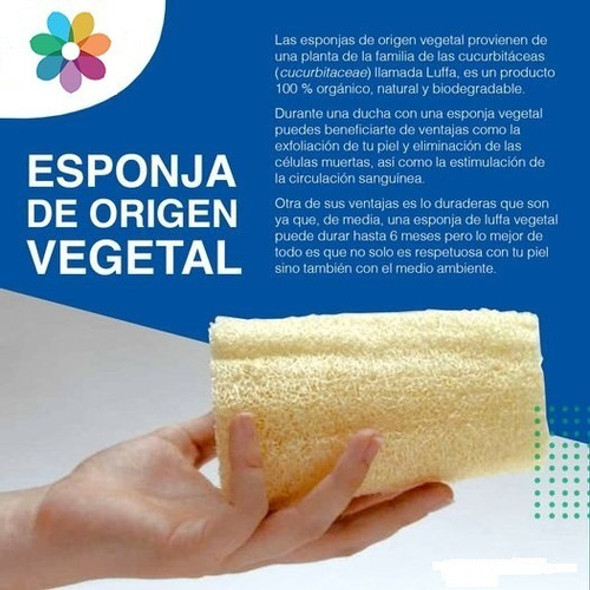 Esponja Vegetal Natural Exfoliante Luffa 1