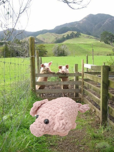 Cerdo, Chancho, Animales Granja 1