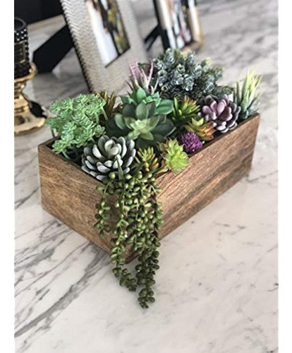 Plantas Artificiales Suculentas Surtidas - 15 Unidades - Pla 0