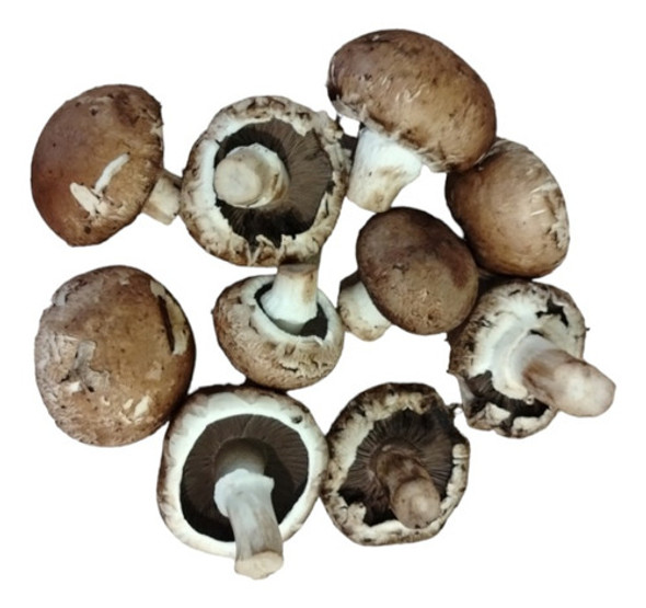 Portobello Fresco Natural X 1kg 1