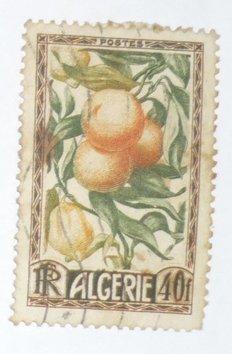 Selo Antigo Argelia - 1950 0