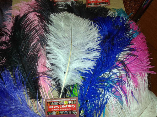 Plumas Artisticas-cotillon-carnaval - 25-35 Cm 0