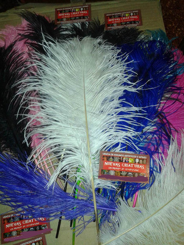Plumas Artisticas-cotillon-carnaval - 25-35 Cm 1
