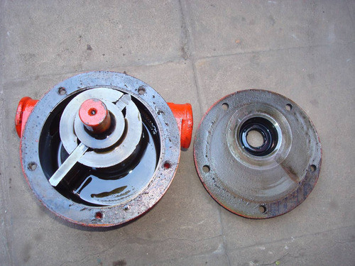 Bomba De Trasvase Reloj 1