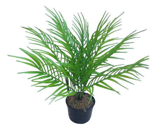 Palmera Artificial Pindo Con Maceta 0
