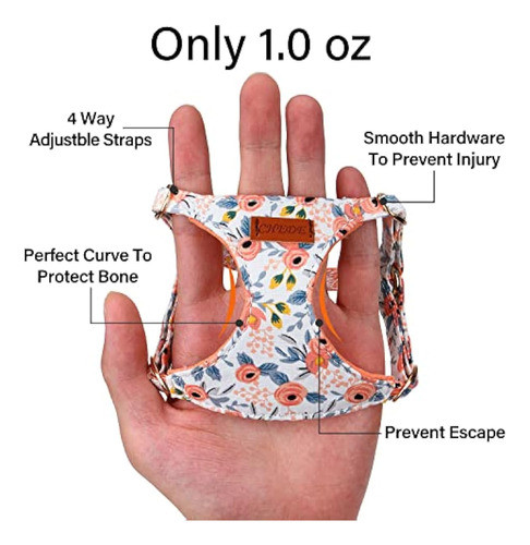 Chede Arnés Para Perro Con Patrón Floral Sin 1