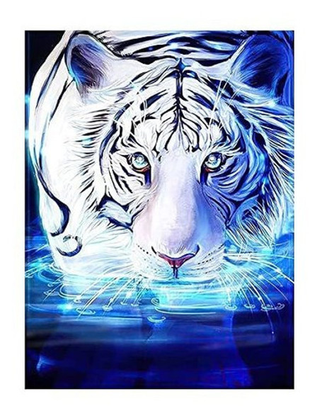 Pintura Por Diamantes Kit Completo 30x40cm -9mq358f9 0