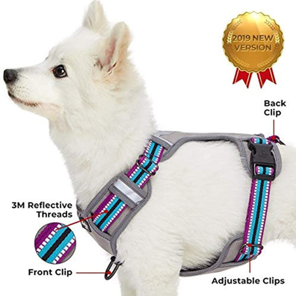 Arneses Acolchados Reflectantes Para Perros Blueberry Pet 10 1