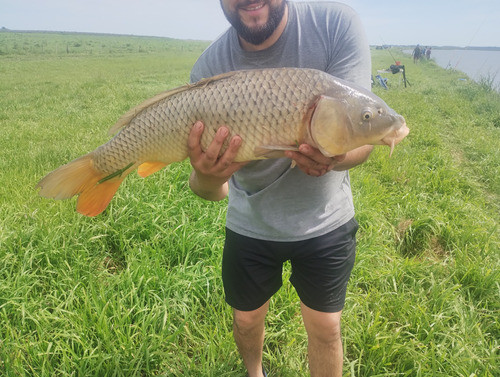 Harinados Premium Mortifera 750 G Variada De Río 2 Unidades 1