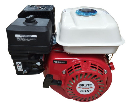 Motor A Explosion Brute Wg210 1