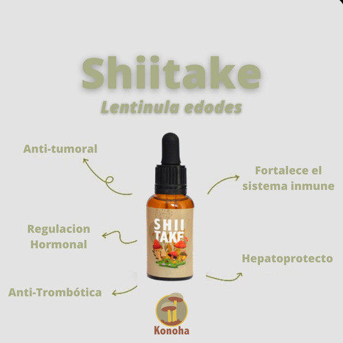 Extracto Shitake 1