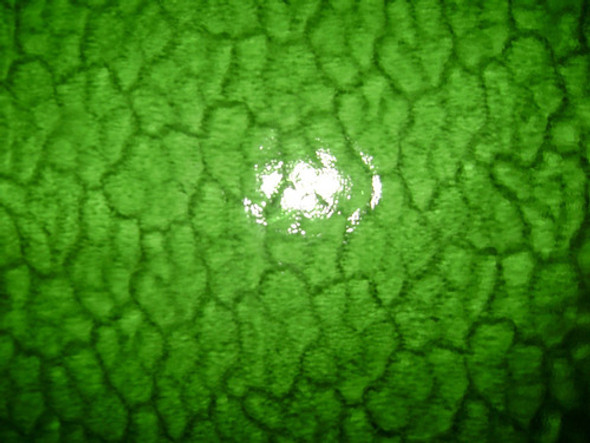 Vidrio De Color Verde 0