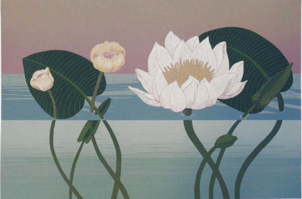 Serigrafía Decorativa Ii - Acuática - Juan Walker 0