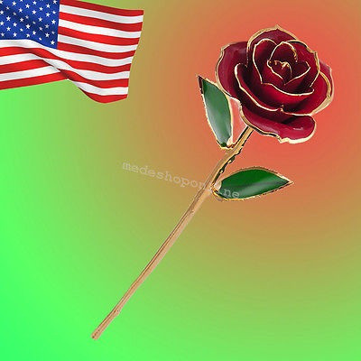 Tallo Largo Sumergido 24 Hoja De Oro K Rosa Realista Ajuste 1