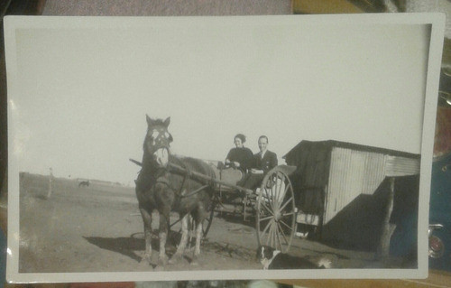 Foto Campo Criollo Carro Sulky Caballo O Breu 1933 0
