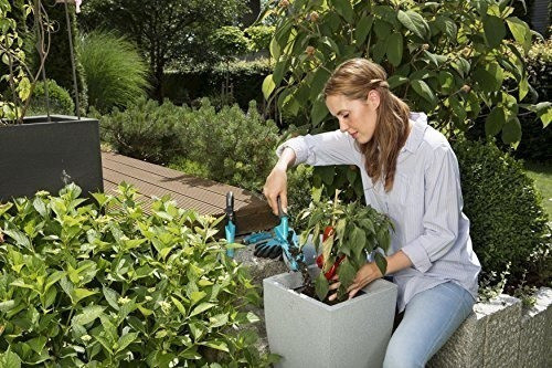 Gardena 08965-30 Basico Herramientas Para Plantar Y Trasplan 1