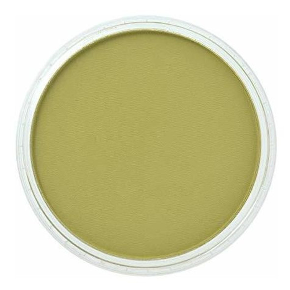 Panpastel Pastel Artista Ultra Suave, Verde Seco 9ml 1