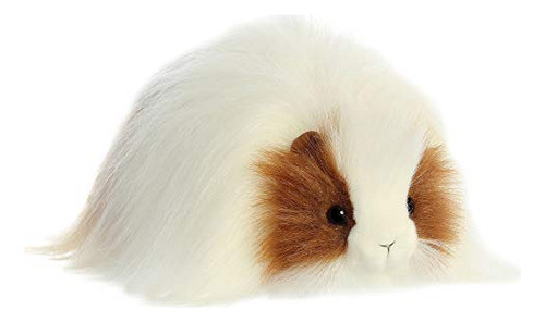 Pbs Aurora, Quincy Guinea Pig 10  Plush 0