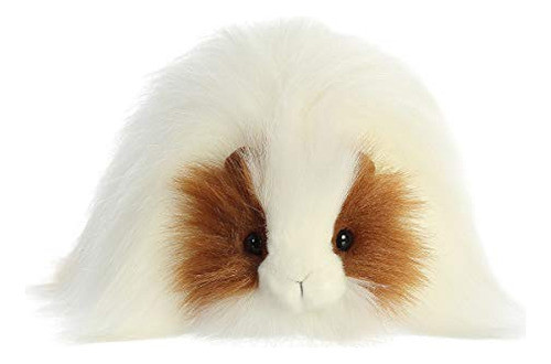 Pbs Aurora, Quincy Guinea Pig 10  Plush 1