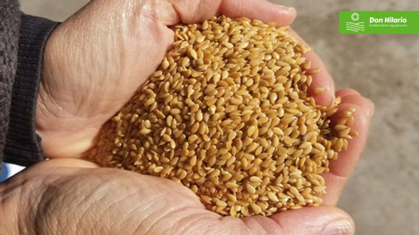 Harina De Lino Dorado 1ra Calidad Premium (2 Kg) 0
