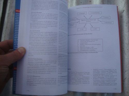 B- Desnutricion Infantil - Roggiero-di Sanzo - Corpus - 2007 1