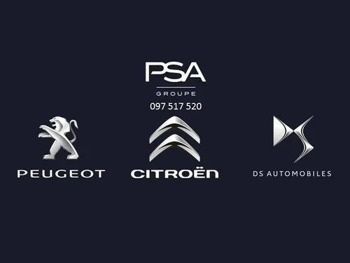 Bastidor Parrilla Importadas Citroen Xsara Picasso C3 C4 Ax 1