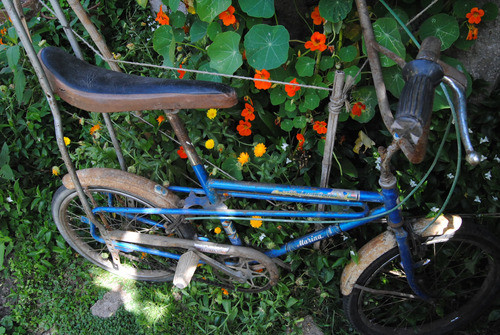 Antiguo Bicicleta Marina Primo Zuccotti Vintage Vieja 1