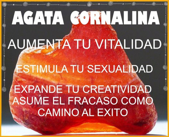 Agata Cornalina Atrae Energia Sexual Elemento Fuego Art 419 1 Agata Cornalina Atrae Energia Sexual Elemento Fuego Art 419 1