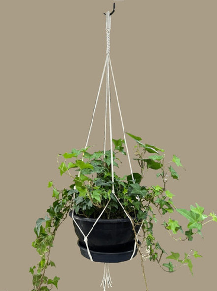 2 Macramês Hanger Suporte Vaso 85cm Promoção Alfa Desde 2007 0 2 Macramês Hanger Suporte Vaso 85cm Promoção Alfa Desde 2007 0