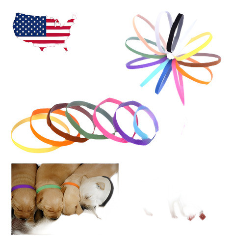 12/set Parto Cachorro Mascota Perro Id Identificación Bandas 0