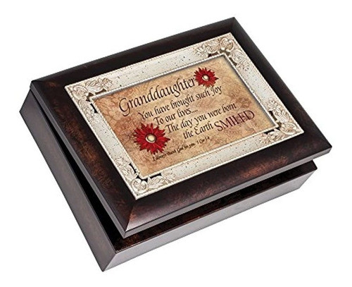 Collar De Cuero Sintetico Negro Caballete 0