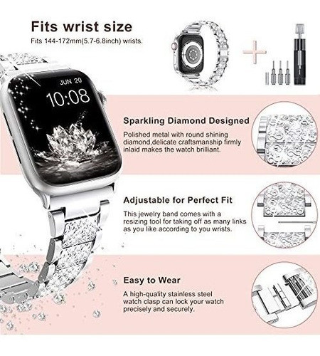 Malla Para Apple Watch Series1-7  Brillos Plata 42/44/45mm 1