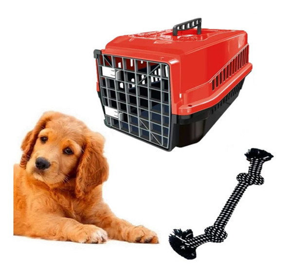 Brinquedo Mordedor De Corda Dental + Caixa Transporte Pet N3 0