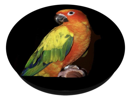Anillo Para Celular - Loro De Colores 1
